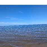 Prajith Vijayan Nair-Freelancer in ,United Kingdom
