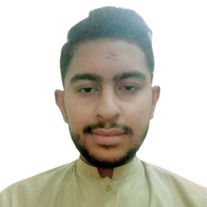 Abdul Khalique-Freelancer in Sehwan,Pakistan