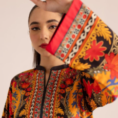 Salma Habib-Freelancer in Attock,Pakistan