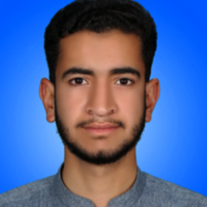 Basit Ali-Freelancer in Islamabad,Pakistan
