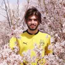 Kian Saeedikia-Freelancer in Qazvin city,USA