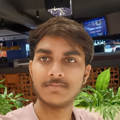 Himanshu Hanwat-Freelancer in Bhopal,India
