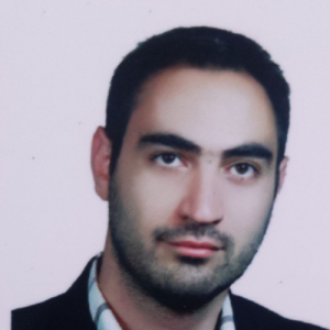 Sajjad Hosseinzadeh-Freelancer in ,USA