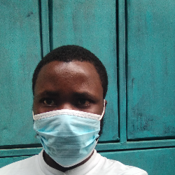 Charles Ludeshi-Freelancer in Nairobi,Kenya