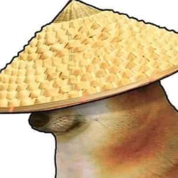 Daksh-Freelancer in Ghaziabad,India