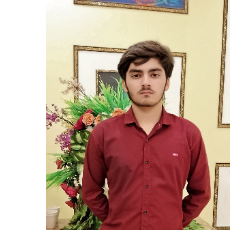 Syed Daniyal Hussain-Freelancer in Sialkot,Pakistan