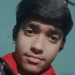 Ansh kumar-Freelancer in Barwadih,India
