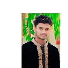 Md Hasan Babu-Freelancer in Dhaka,Bangladesh