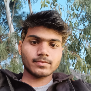 Amit Gupta-Freelancer in Dehradun,India