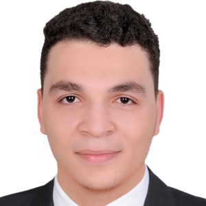 Abdelrahman Elsayed-Freelancer in Cairo,Egypt