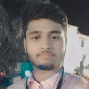 Md Toufique-Freelancer in koderma,India
