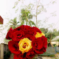 Sajna Khatun-Freelancer in Dhaka,Bangladesh