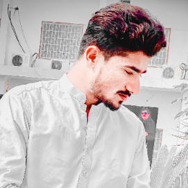 Malik Seo-Freelancer in Layyah,Pakistan