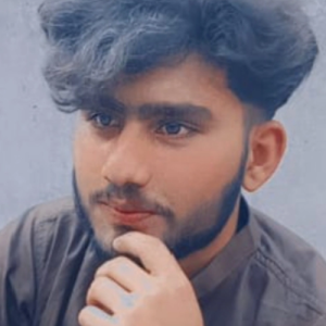 Salman Mazhar-Freelancer in Lahore,Pakistan
