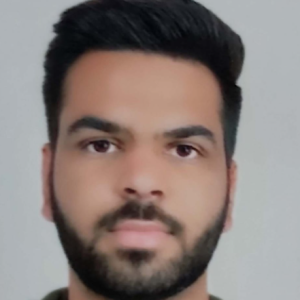 Harsh Singh-Freelancer in gurgaon,India