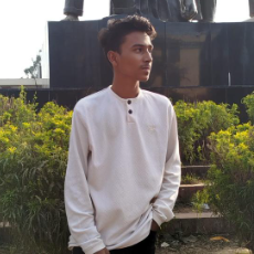 Rifat Hossain-Freelancer in Dhaka,Bangladesh