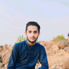 Muhammad Hasnain-Freelancer in Rajan Pur,Pakistan