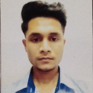 Mohd Sabeel-Freelancer in New Delhi,India