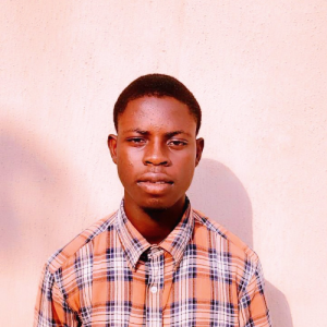 Ezekiel Jesutofunmi-Freelancer in Ota,Nigeria