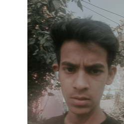 Nihal Mishra-Freelancer in Ayodhya Division,India