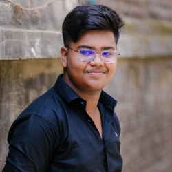 Niloy Baishnab-Freelancer in Chittagong,Bangladesh