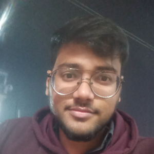 Harsh Jaiswal-Freelancer in Lucknow,India