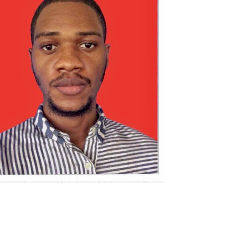 Victor Eluwa-Freelancer in Port Harcourt,Nigeria