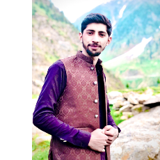 sohail saqi-Freelancer in balakot,Pakistan