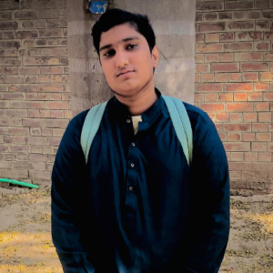 Mughees Qasim-Freelancer in Lahore,Pakistan