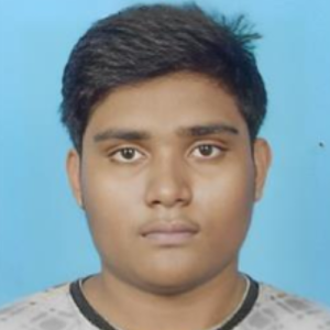Lokenath Adhya-Freelancer in Habra,India