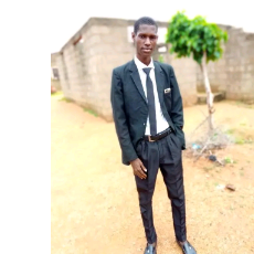 Abubakar Lamido Umar-Freelancer in Lagos,Nigeria