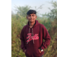 Abhishek Pathe-Freelancer in Akola,India