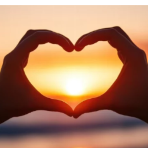 E Shuaib-Freelancer in Mysuru,India