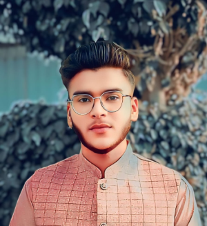 Hamza Hayat-Freelancer in jhang,Pakistan