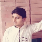 Muhammad Zeeshan Ali-Freelancer in Lahore,Pakistan