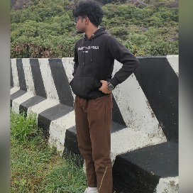 Joseph Brabinson-Freelancer in Chennai,India