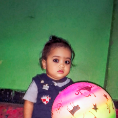 Cricket Lovers-Freelancer in Begusarai Bihar,India