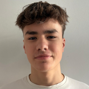 Emir Husejnovic-Freelancer in Amstelveen,Netherlands