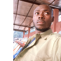 Godwin Adie-Freelancer in Abia state,Nigeria