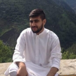 Ameer Hamza-Freelancer in Mansehra,Pakistan