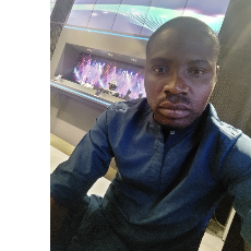 Ayankoya Moses-Freelancer in Lagos,Nigeria