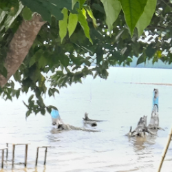 Arthur Wilfried Tekpo-Freelancer in Abidjan,Cote d'Ivoire
