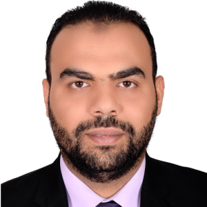 Mohamed Hafez-Freelancer in Cairo,Egypt