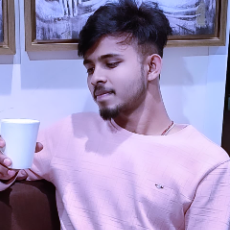 Punith Kumar-Freelancer in Bengaluru,India