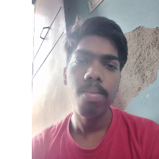 Pramod-Freelancer in New Delhi,India