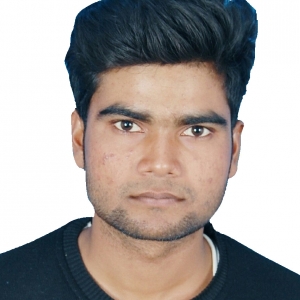 Bansh Bahadur-Freelancer in ,India