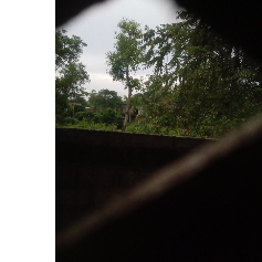 Pramudi Sandupama-Freelancer in Colombo,Sri Lanka