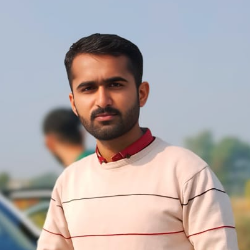 Muhammad Hasnain-Freelancer in Layyah,Pakistan