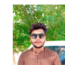 Fahad Hussain-Freelancer in Sargodha,Pakistan