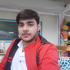 Akhlad Saifi-Freelancer in Ghaziabad,India